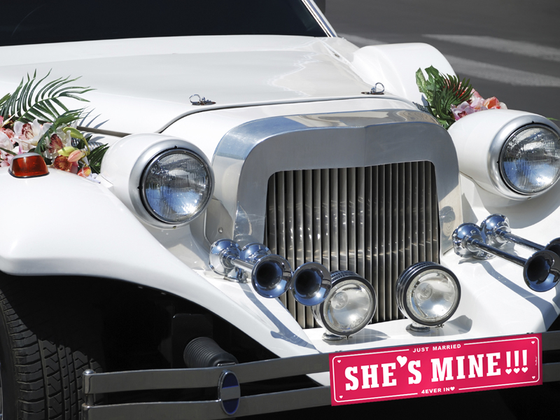 Nummernschild She's Mine