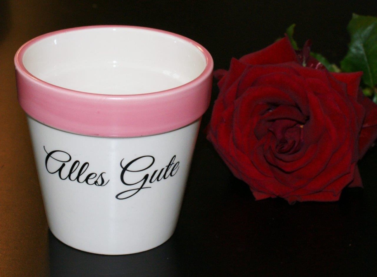 Blumentopf Alles Gute