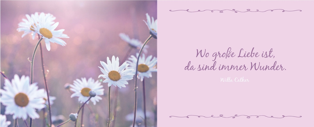 50 Jahre Liebe, Glück und Abenteuer