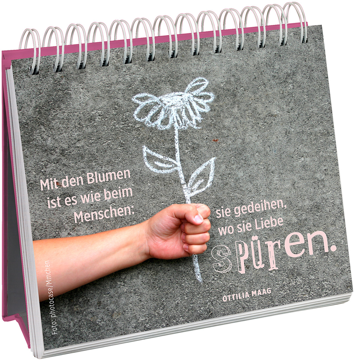 Aufsteller Liebe für jeden Tag