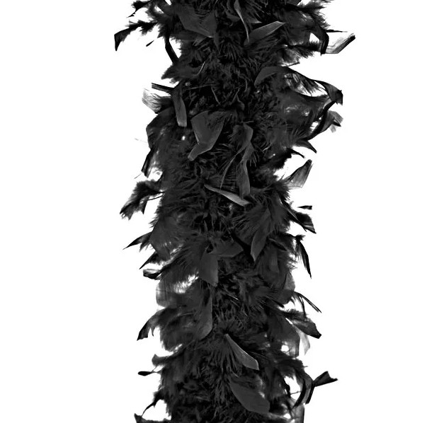 Federboa Schwarz