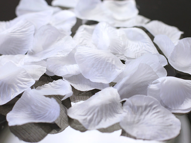 Rosenblüten groß Weiß