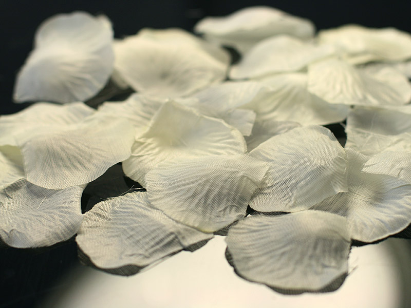 Rosenblüten klein Gelb