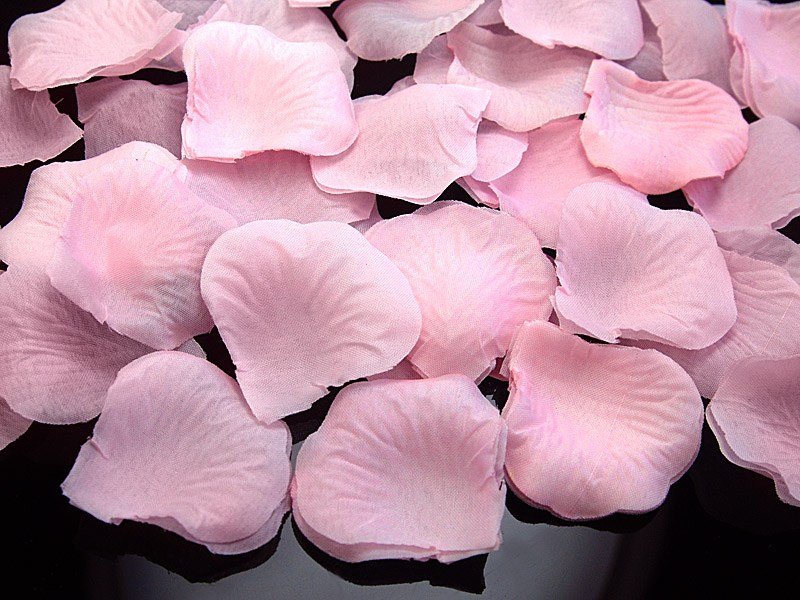 Rosenblüten klein Rosa