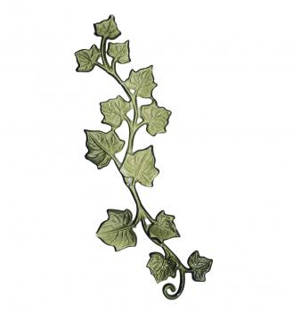 Wachsmotiv Efeuranke